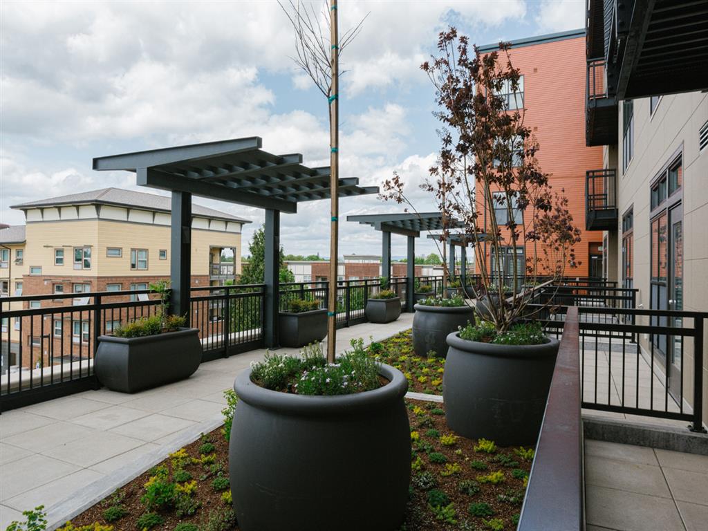 Hub 9 Image 30