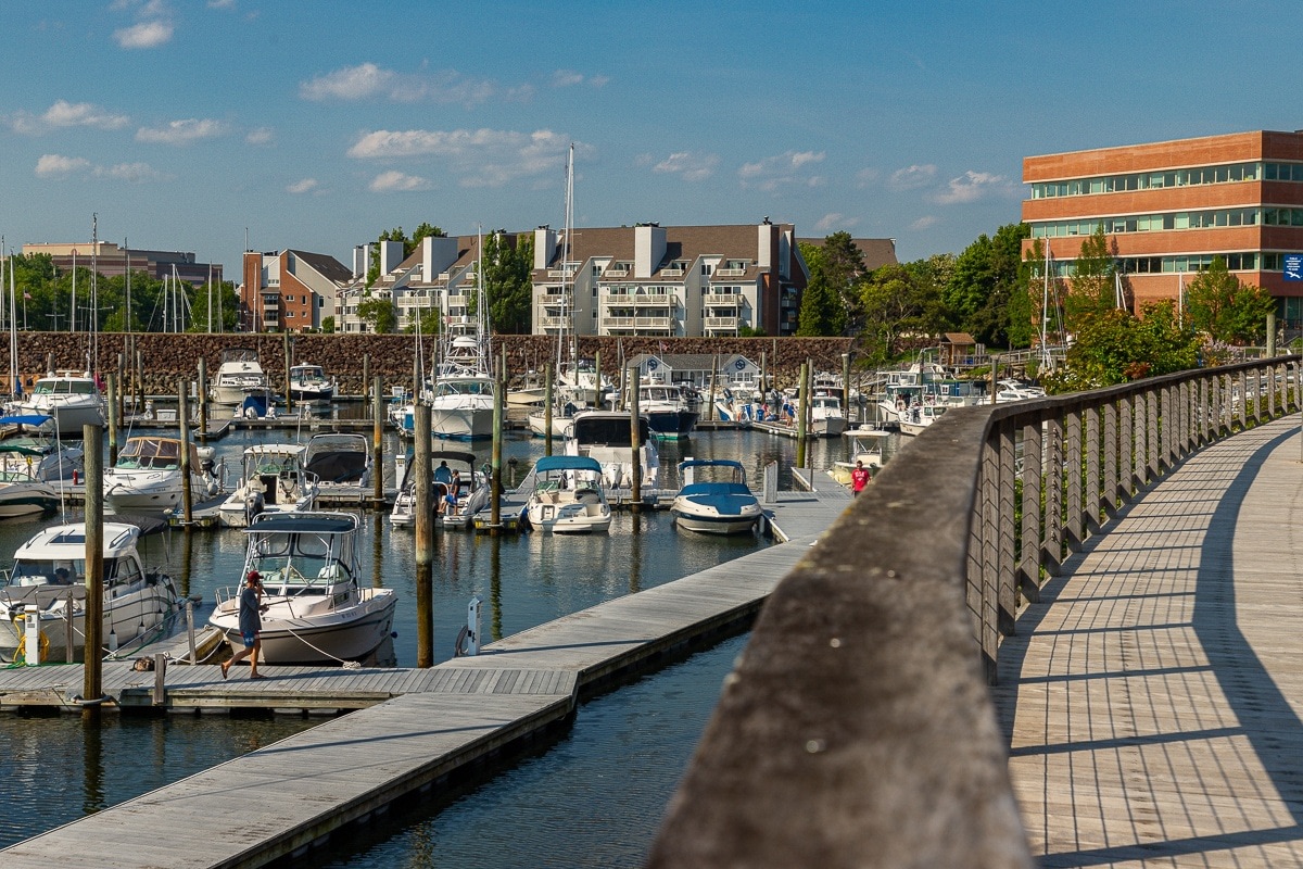 The Hazel Image 21