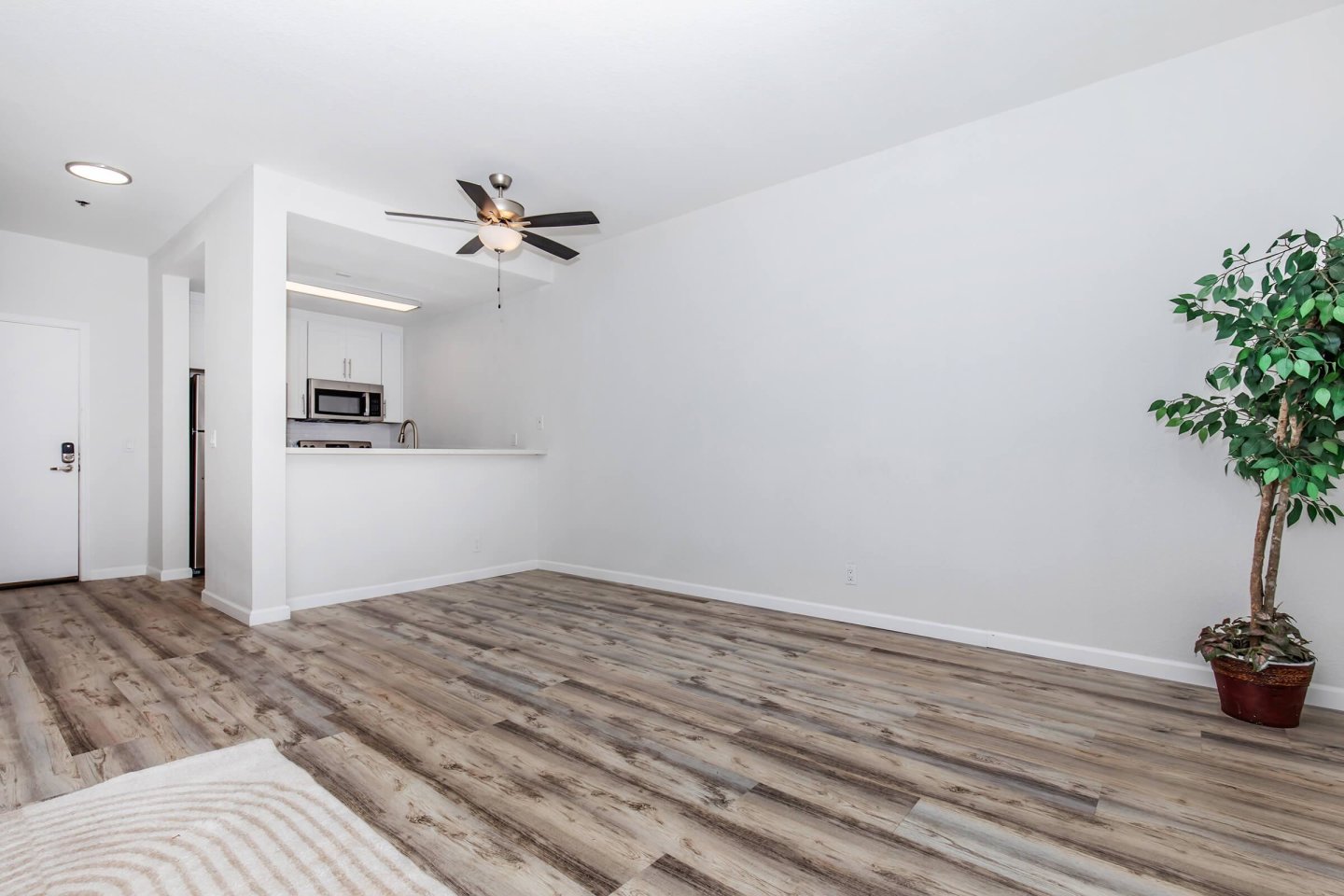 Paloma Vista Apartment Homes Image 43