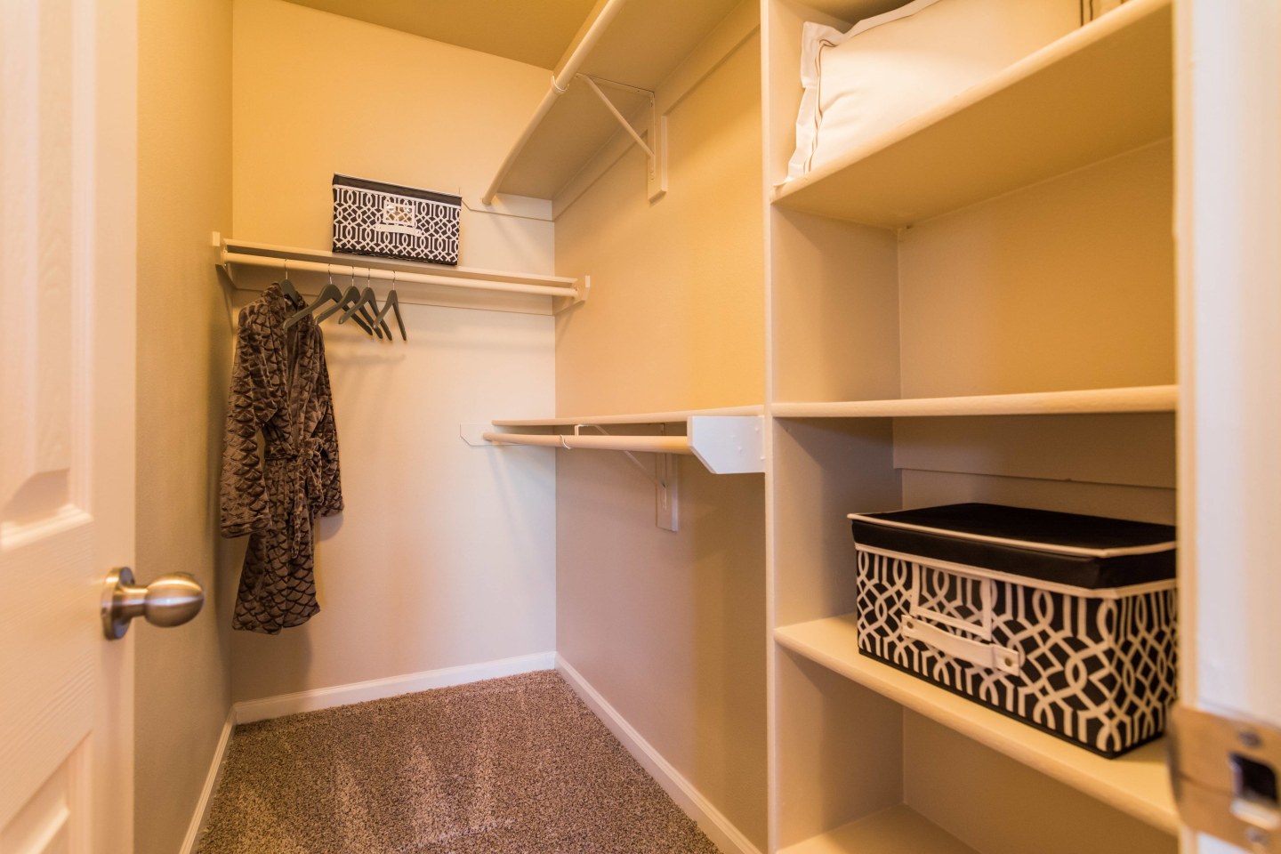 Sixteen50 at Lake Ray Hubbard Apartments Image 7