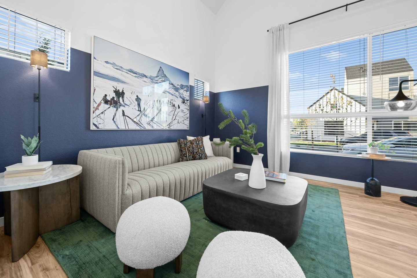 Lupine Longmont Image 7