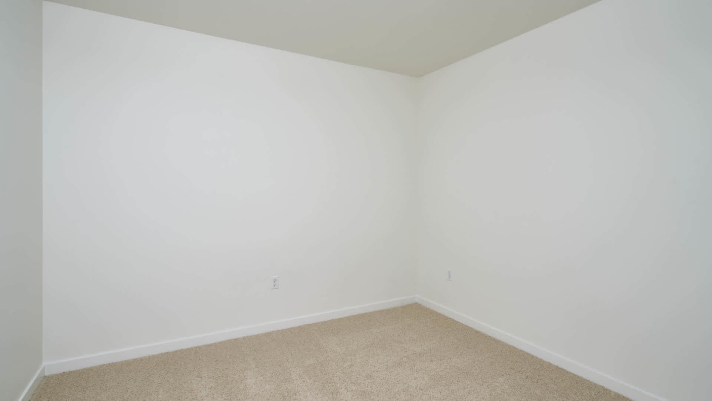 Springline Image 16