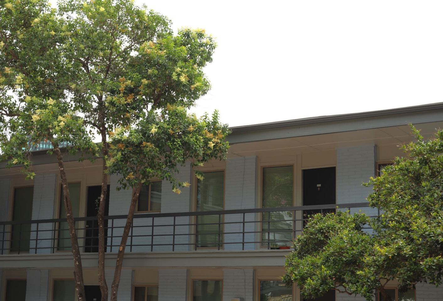 Penthouse Image 10