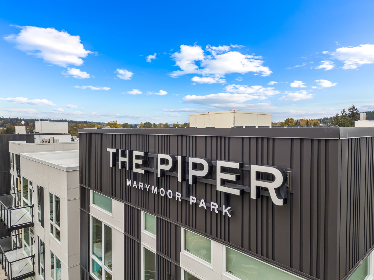 The Piper Image 3