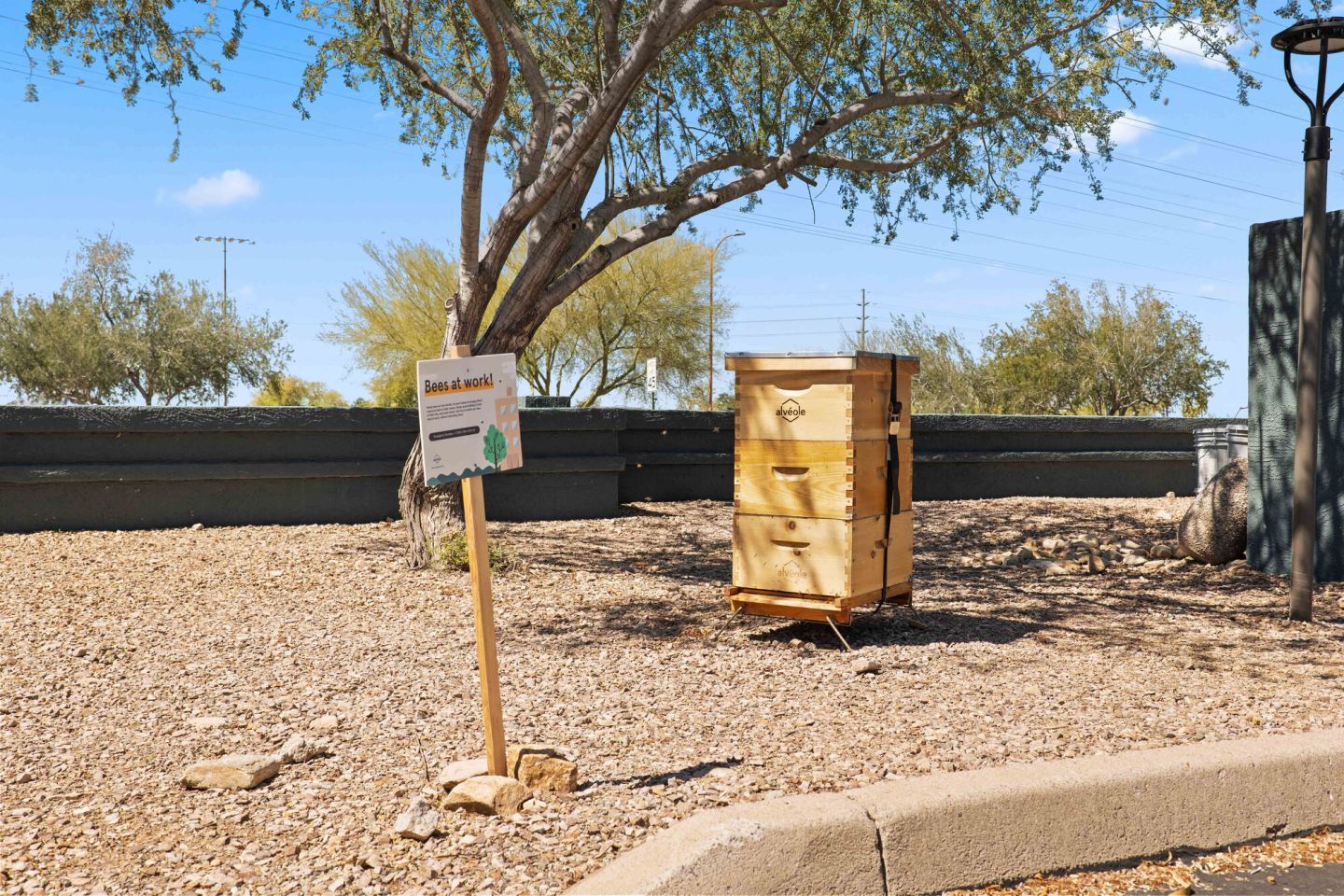 Jade Scottsdale Image 26