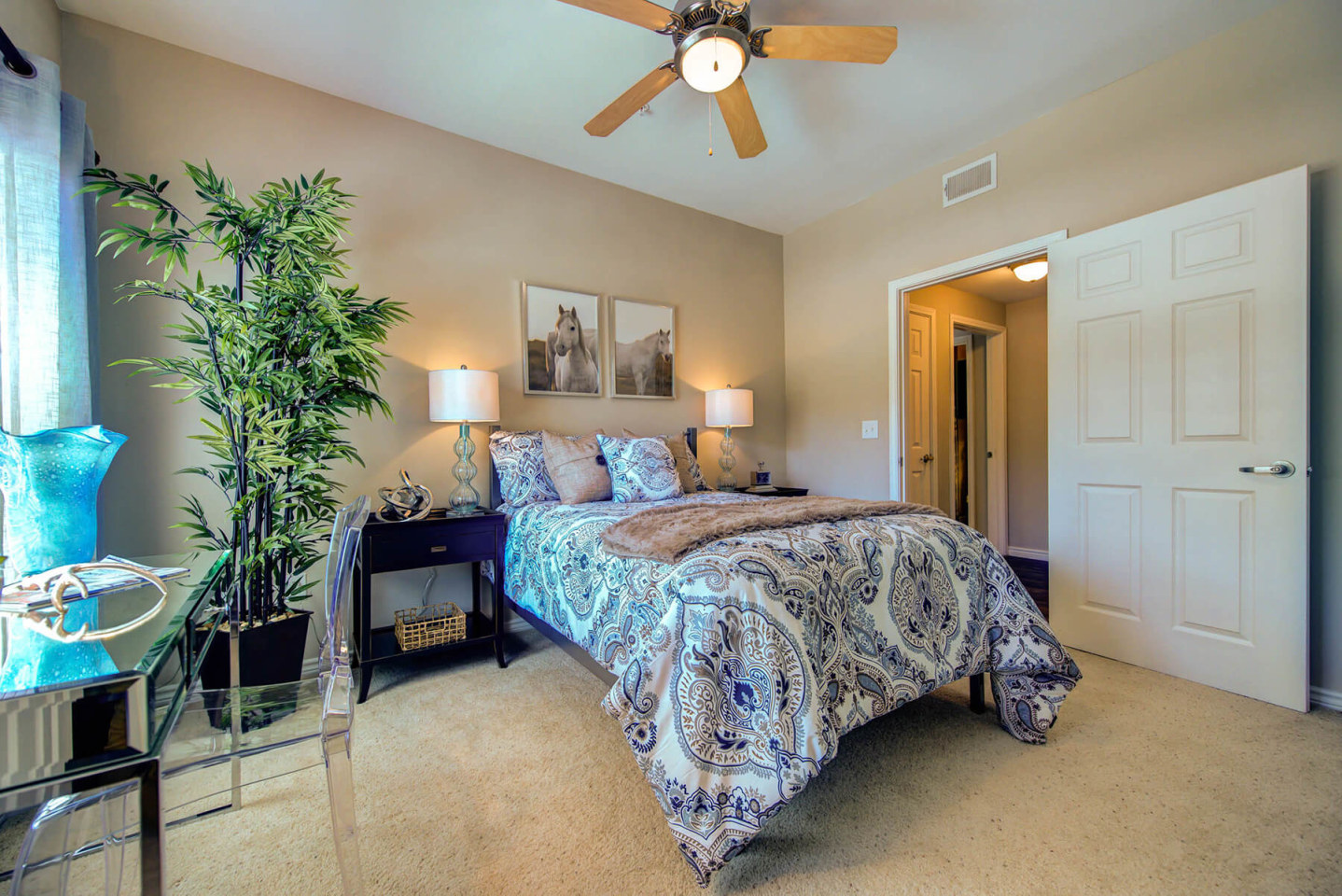 Callista Hill Country Apartments Image 9
