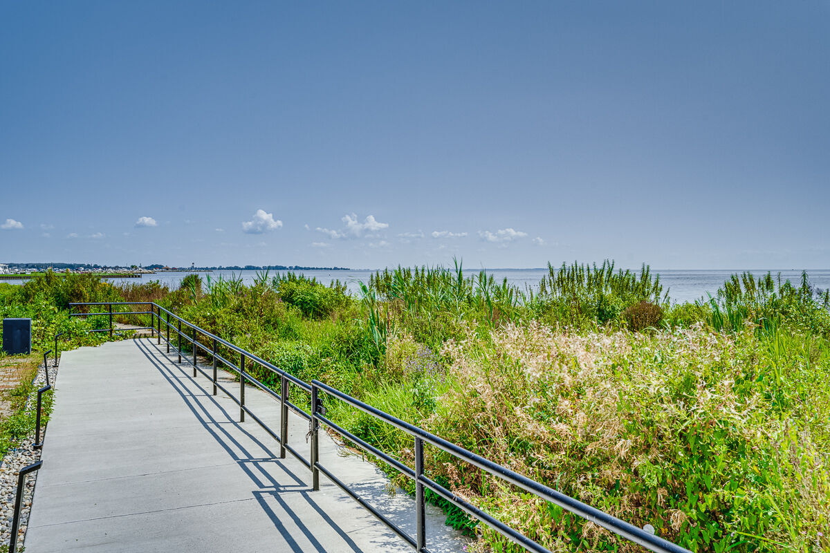 The Shores of Lake St. Clair Image 18