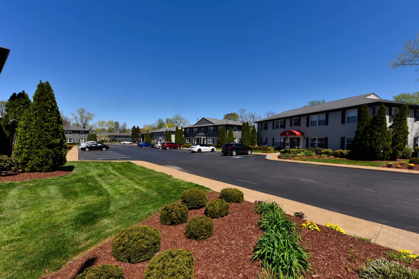 The Enclave Image 9