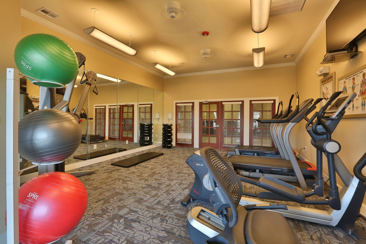 Mariposa at Pecan Park - Senior Housing Image 11