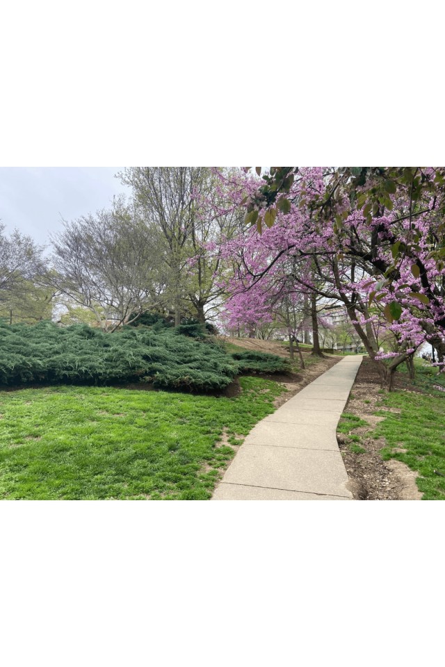 The Barlow at Kalorama Park Image 2