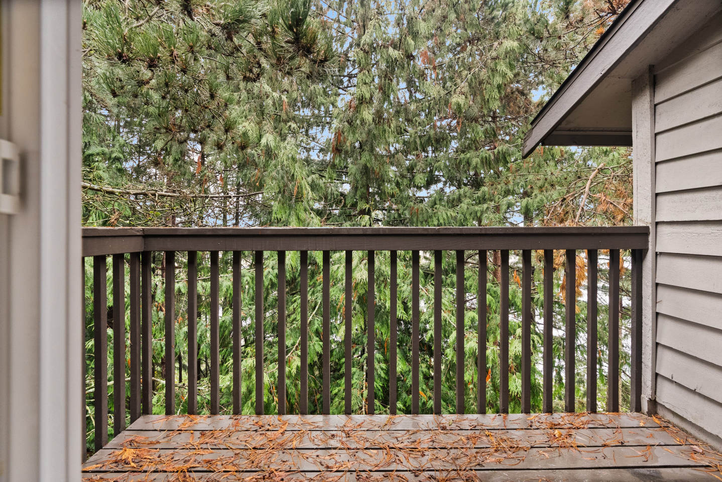 The Lodge at Madrona Image 32