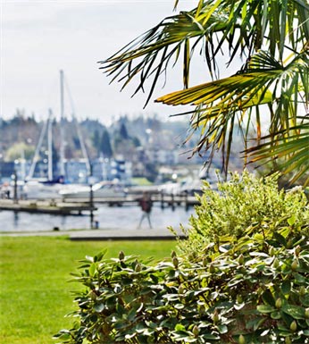 The 101 Image 22