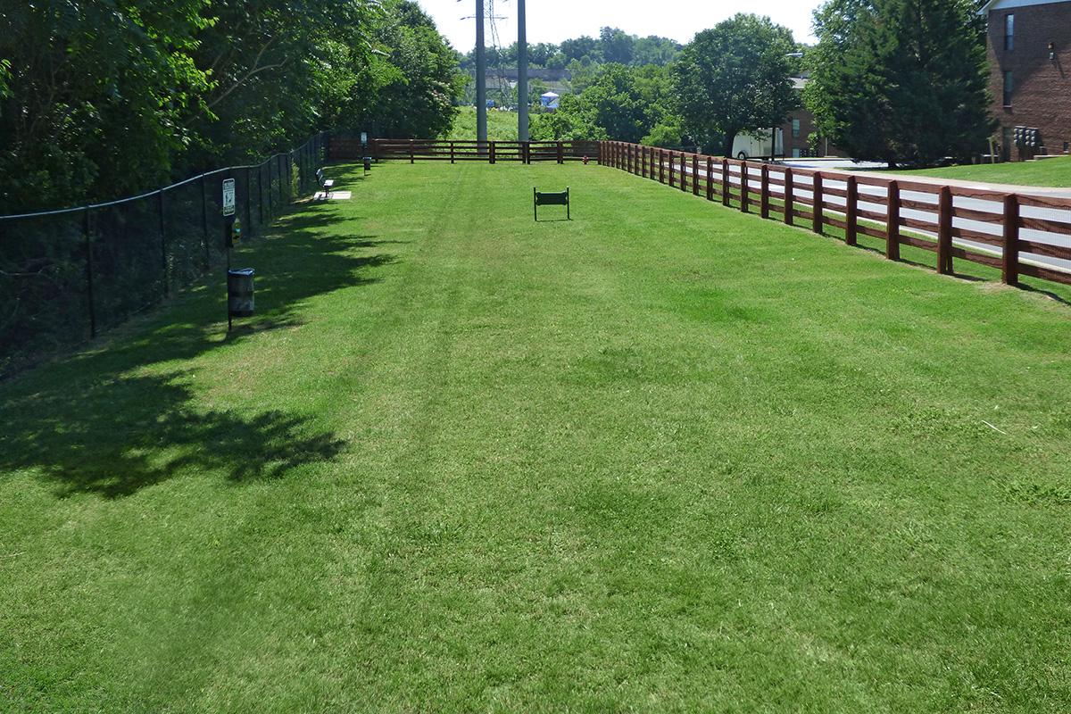 The Knolls Image 28