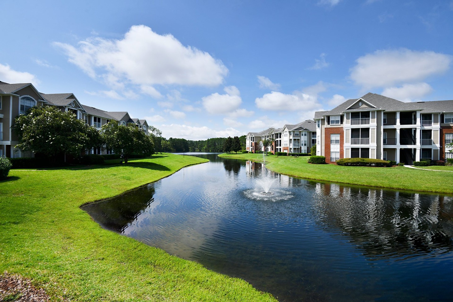 54 Magnolia Image 22