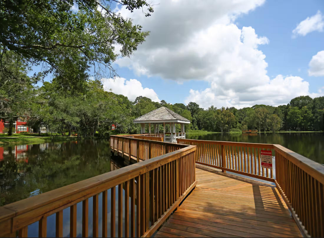 Grande Oasis at Carrollwood Image 6