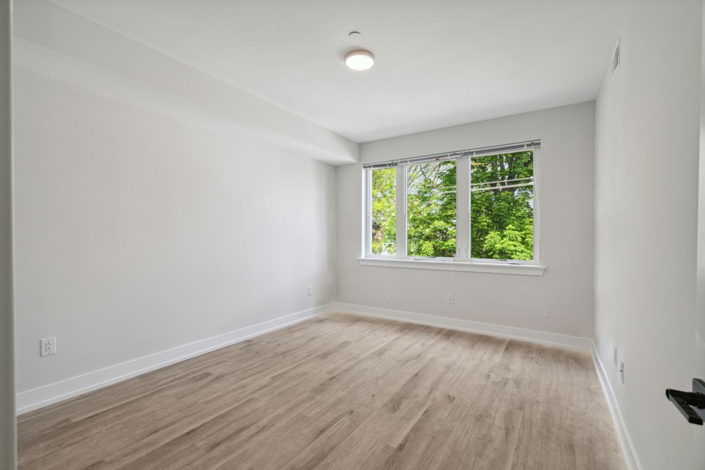 Sparrow House Image 41