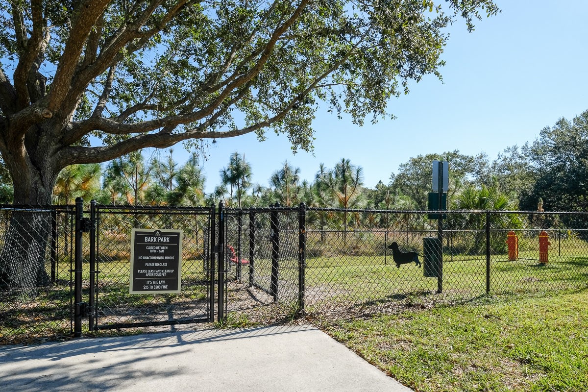 Madalyn Landing Image 40