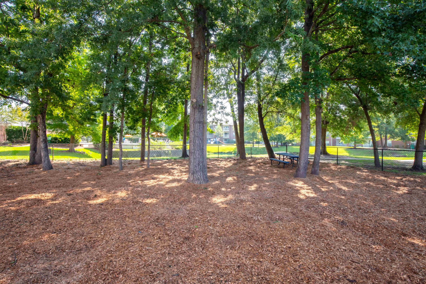 Jamison Park Image 6