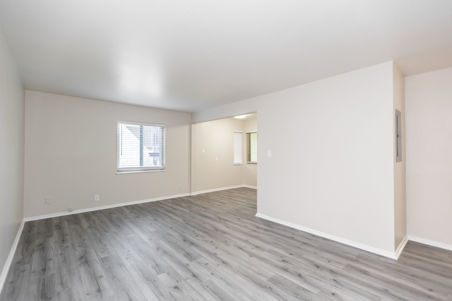 355 Staten Image 2