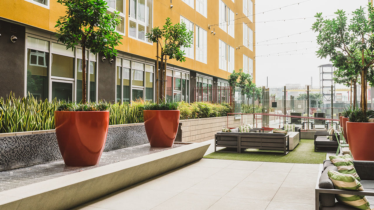 Blossom Plaza Image 13