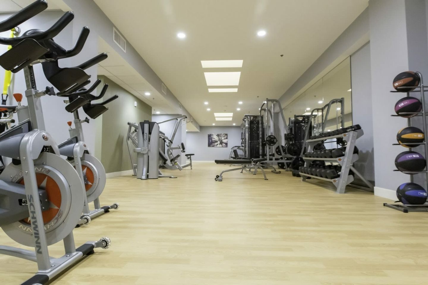 Avenir Image 25