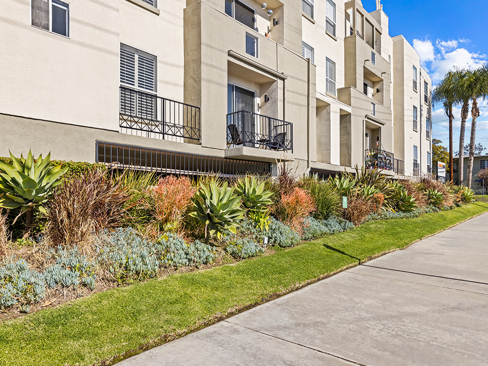Palms Court Image 24
