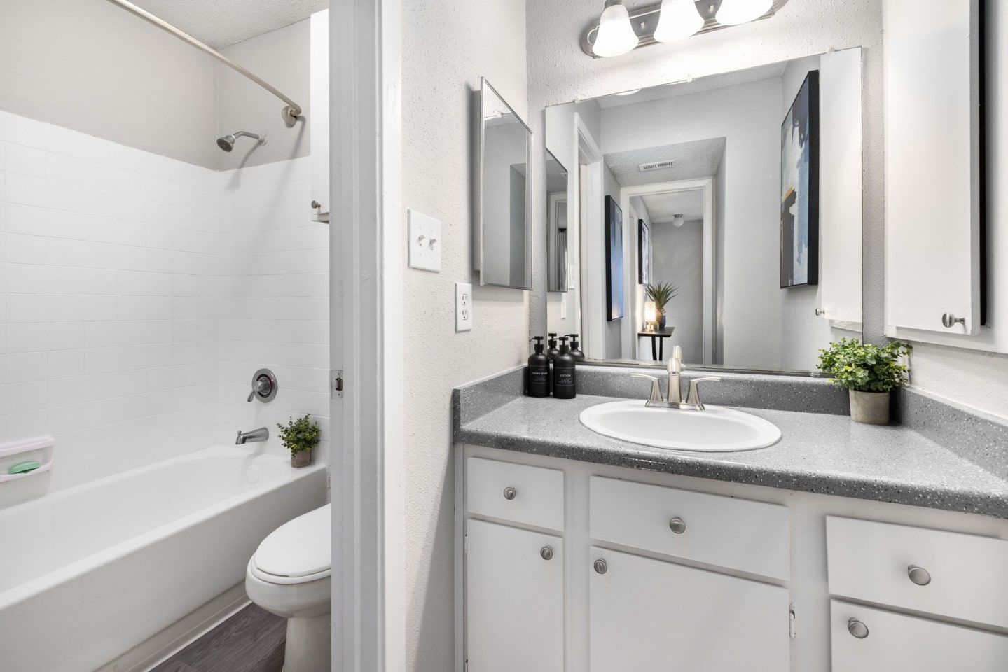 Solace Apartment Homes Image 7
