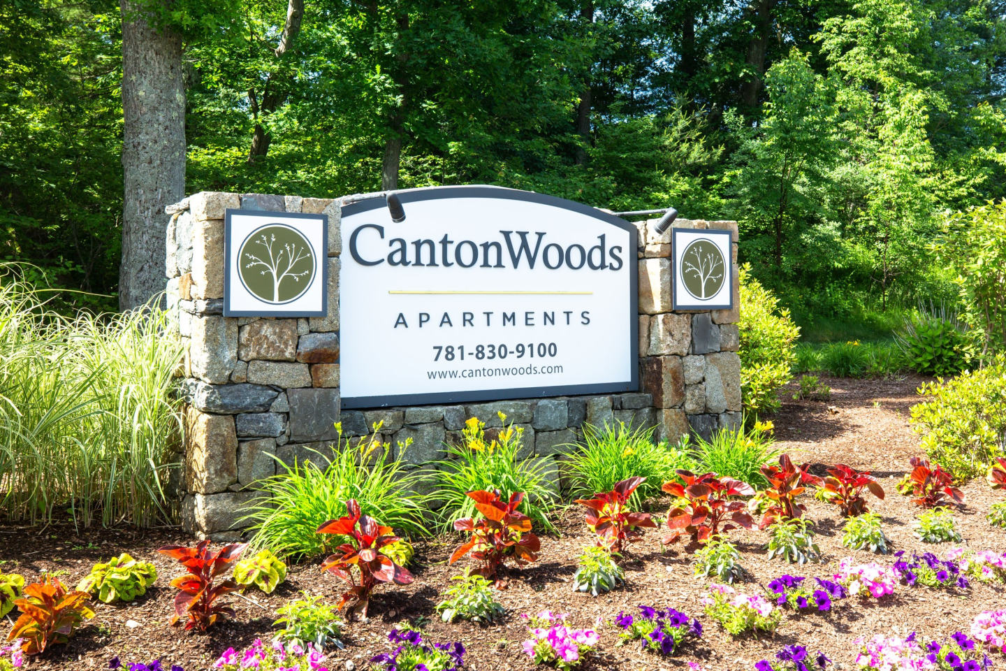 Canton Woods Image 23