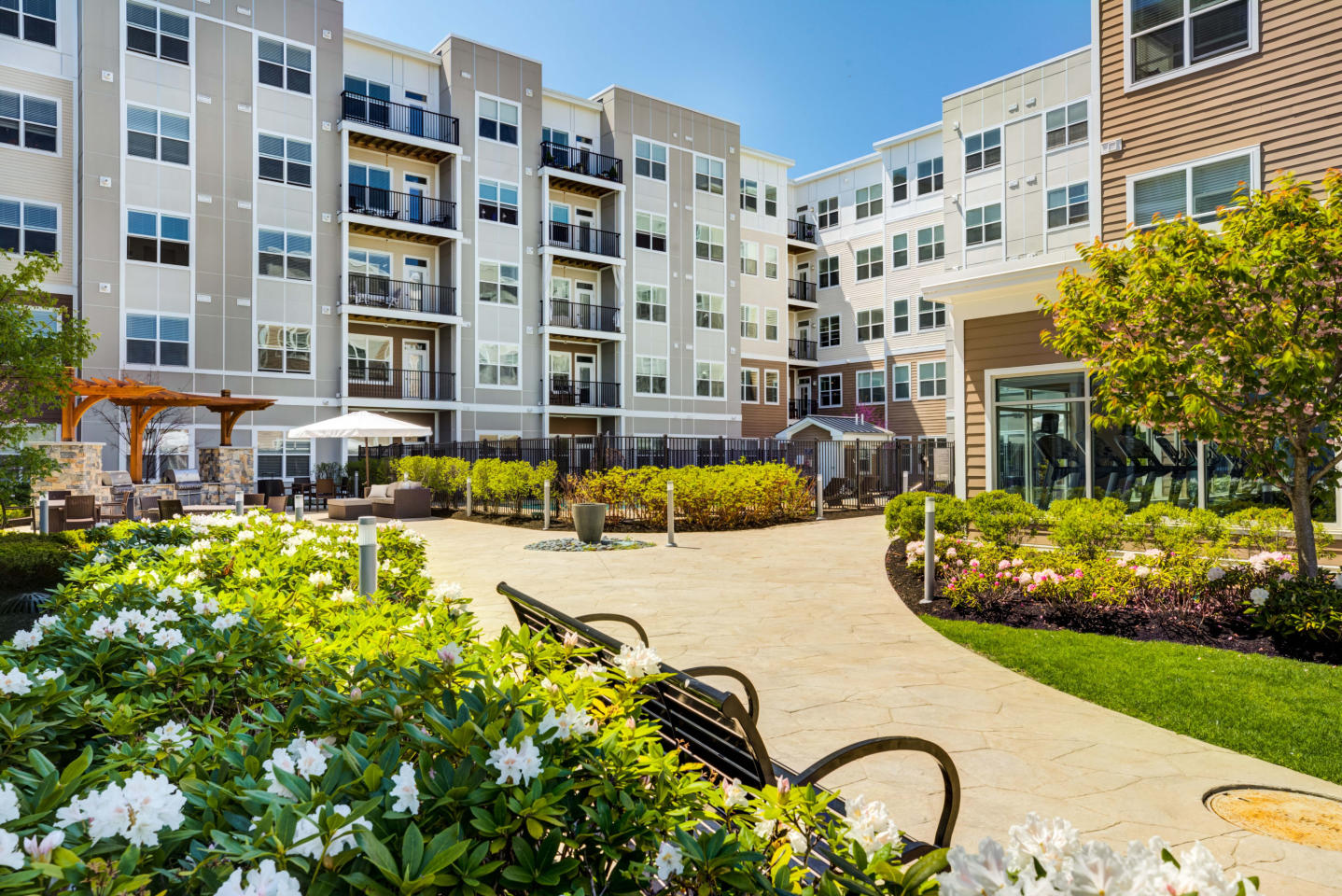 Everly Image 27