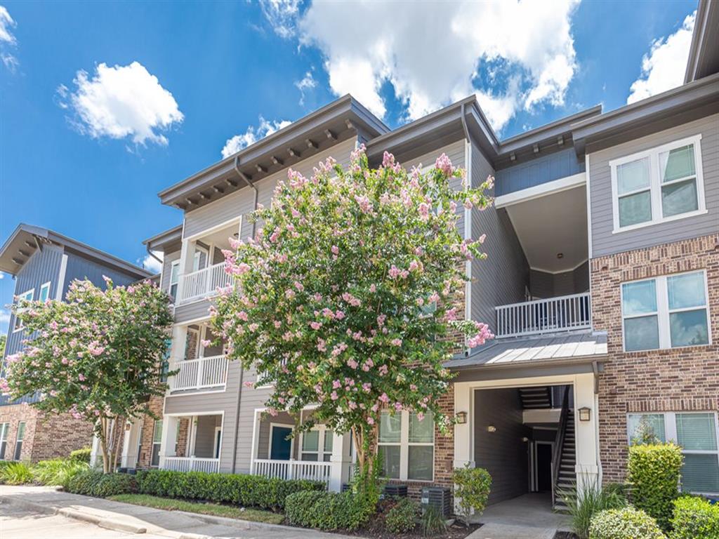 Delray Image 19