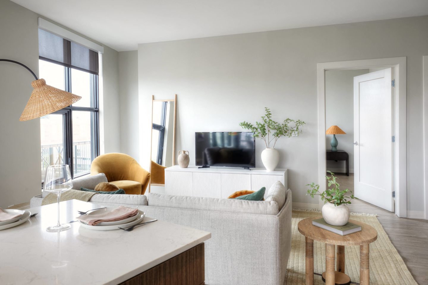 South Standard Image 5