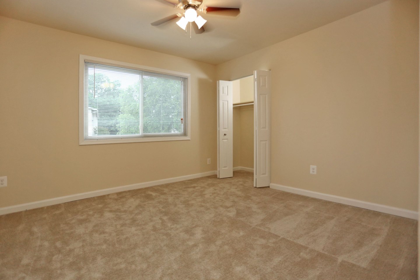 Fox Rest Image 16