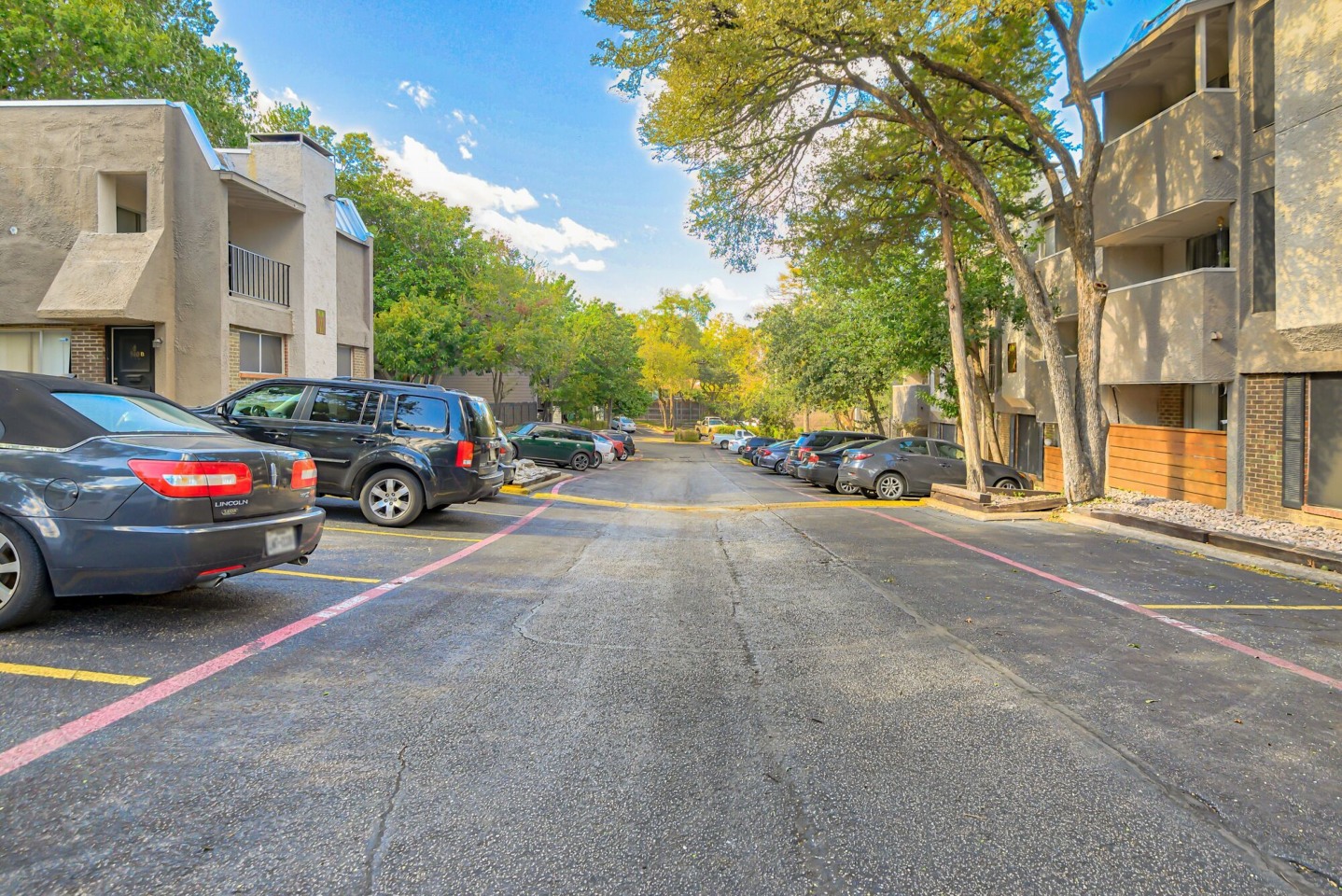 San Mateo Forest Apartments Image 39
