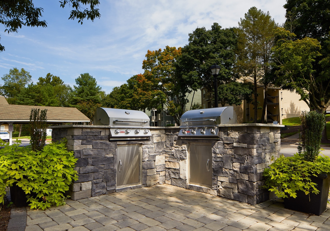 Beech's Farm Image 22