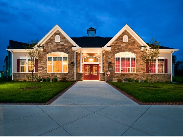 Laurel Green Image 3