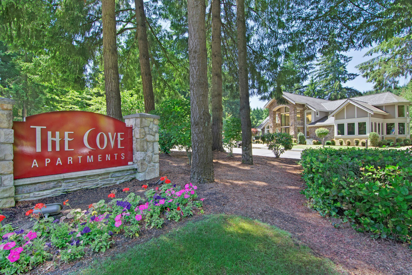 The Cove Image 18