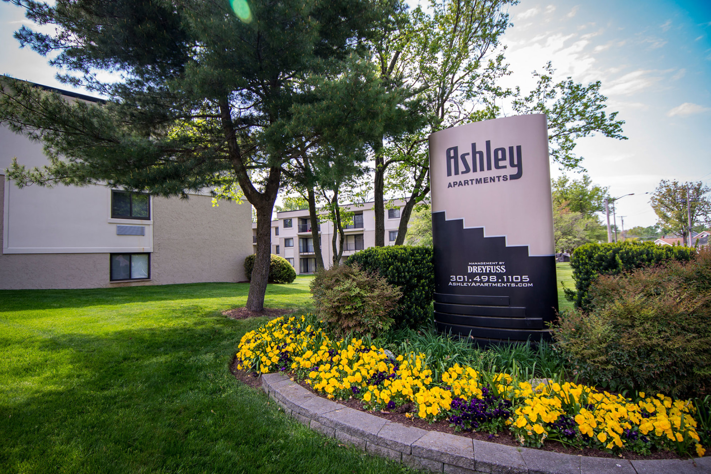 Ashley Apartments Image 15