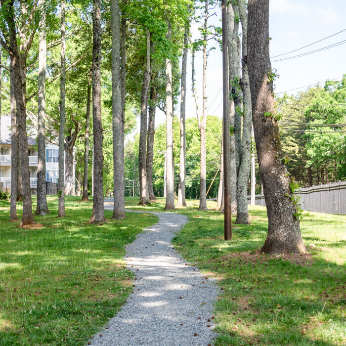 Cameron at Hickory Grove Image 33