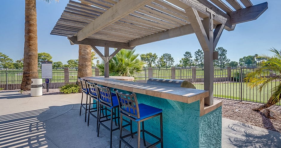 Aventerra at Dobson Ranch Image 11