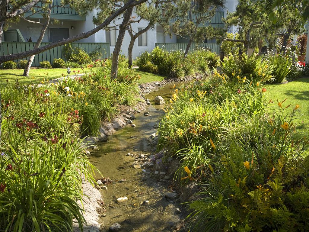 Pacific Oaks Image 17