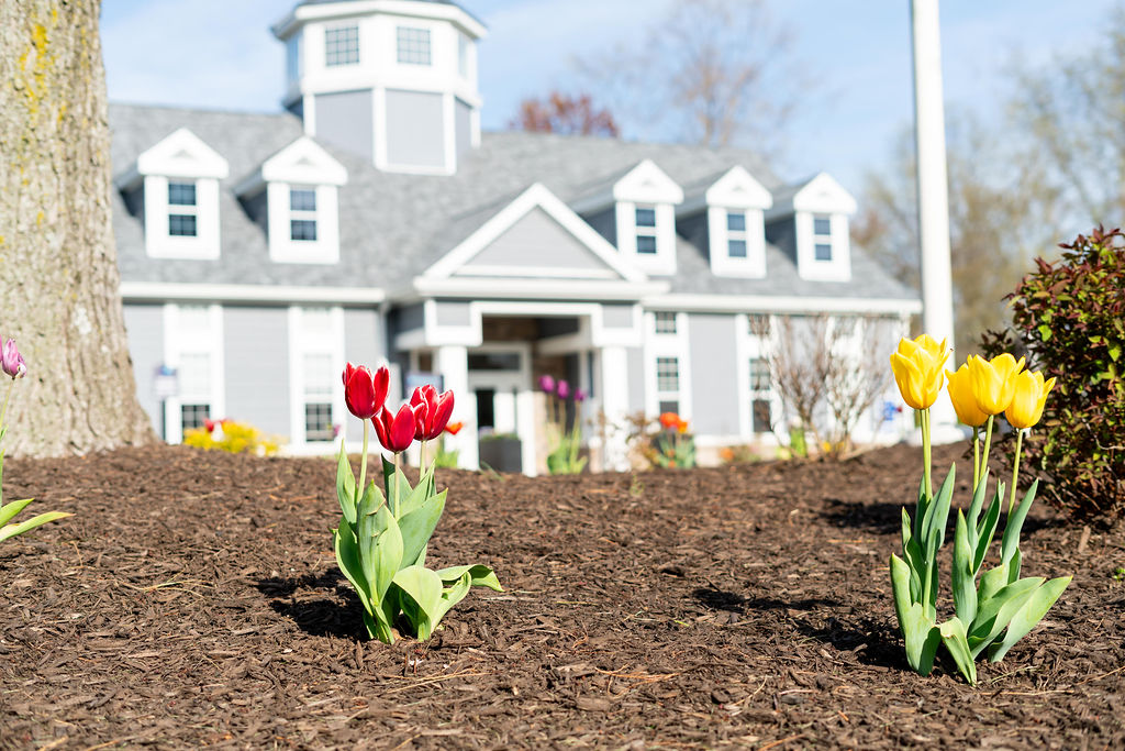 Merion Milford Image 2