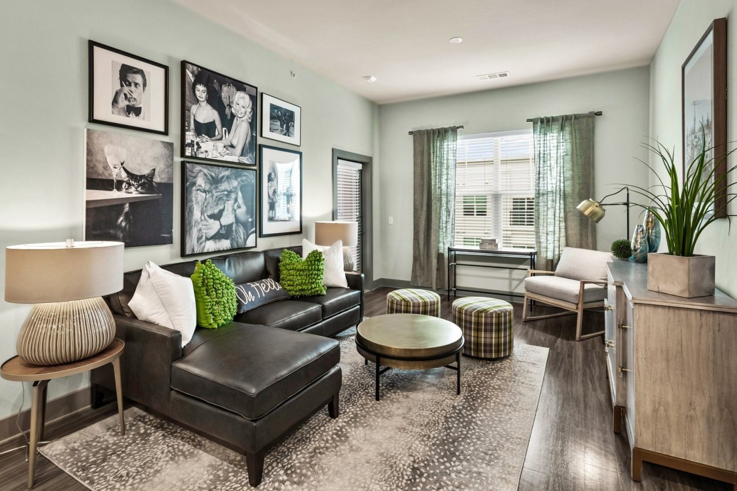 Shoreview Flats Image 17