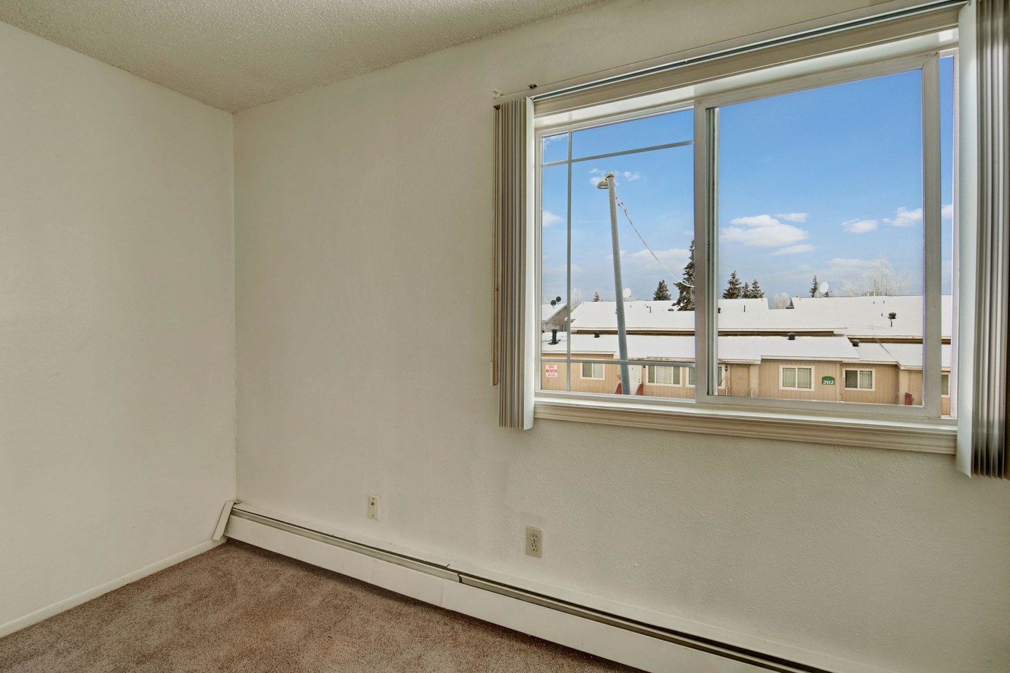 Conifer Grove Image 4