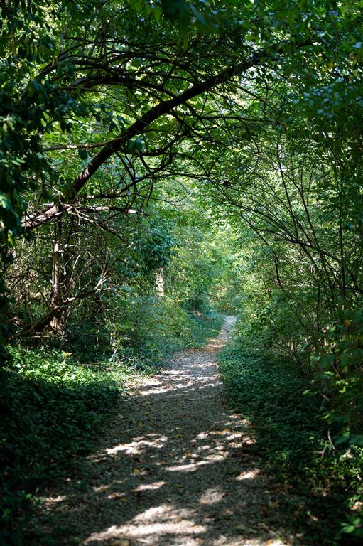 Saddlebrook at Tates Creek Image 32