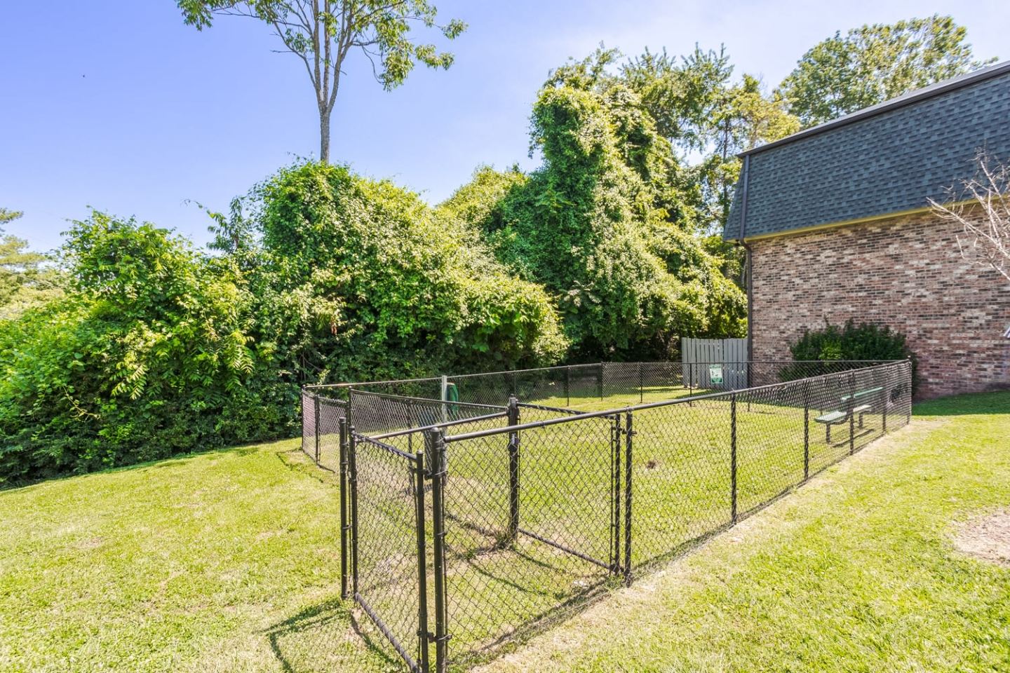Post Ridge Image 8