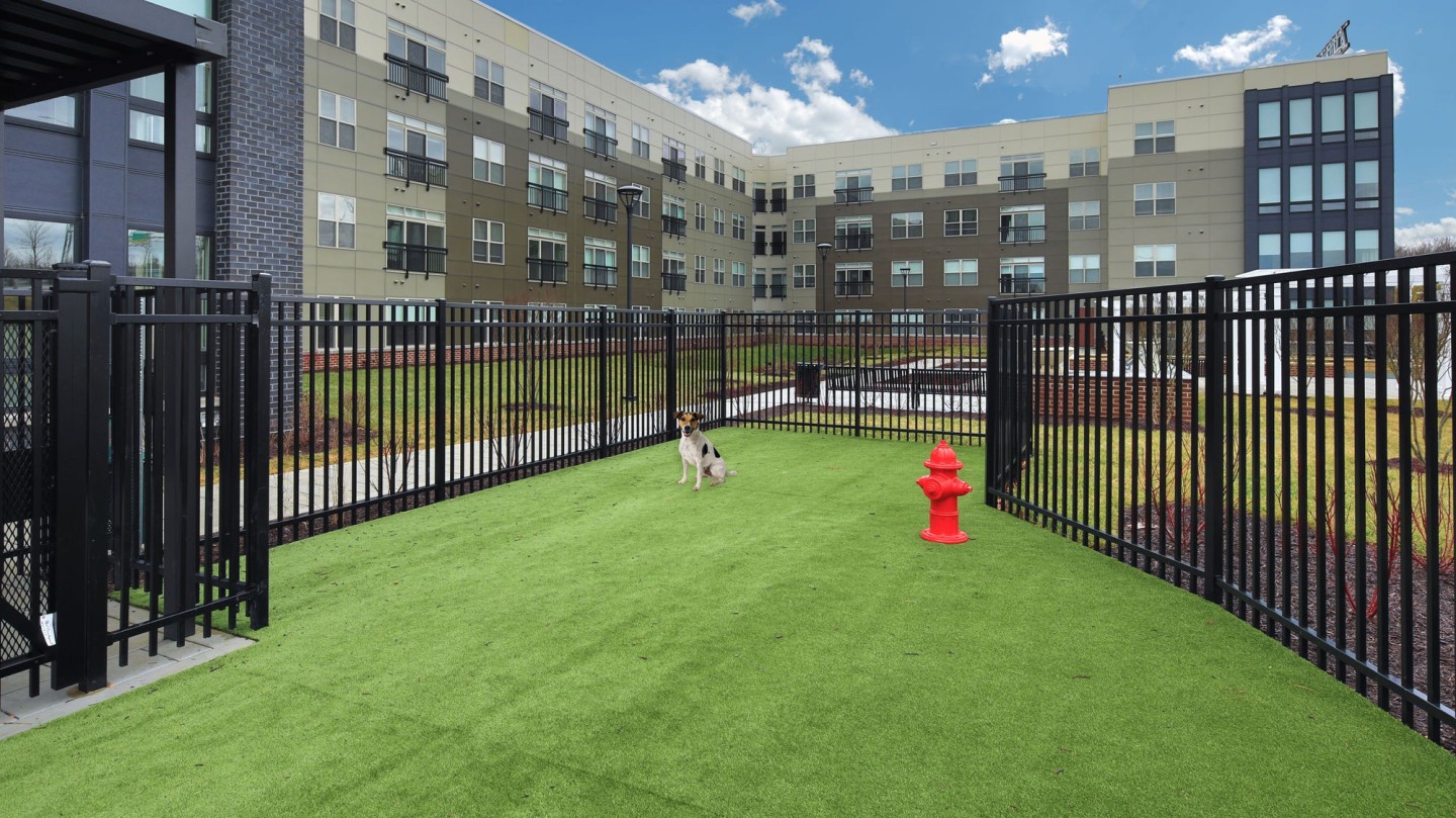 The Residences at Annapolis Junction Image 7