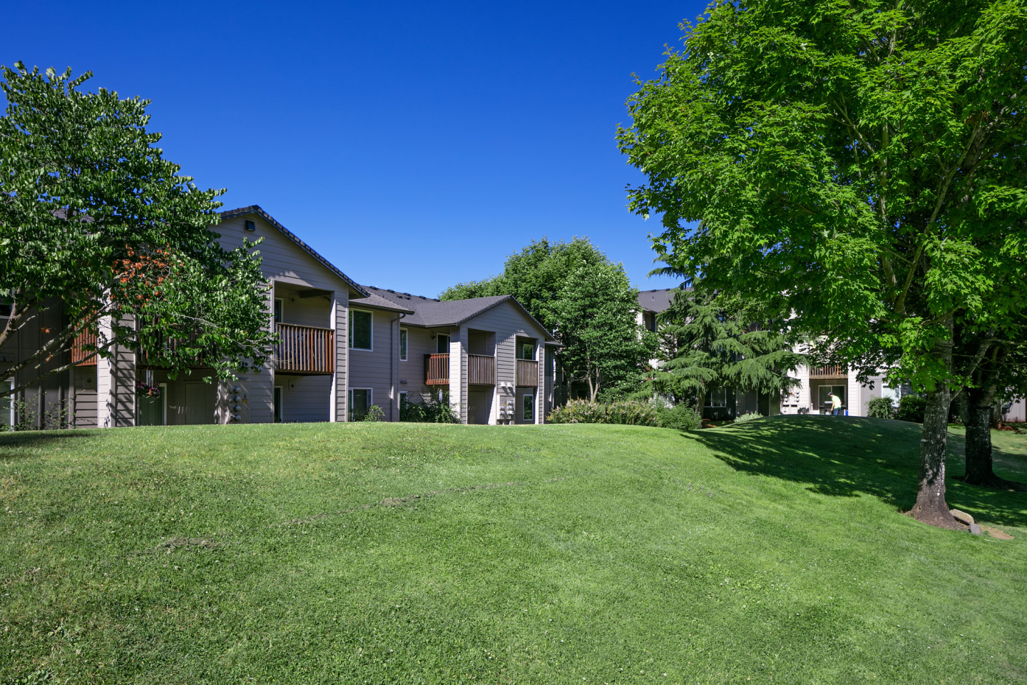 River Terrace Apartments Image 19