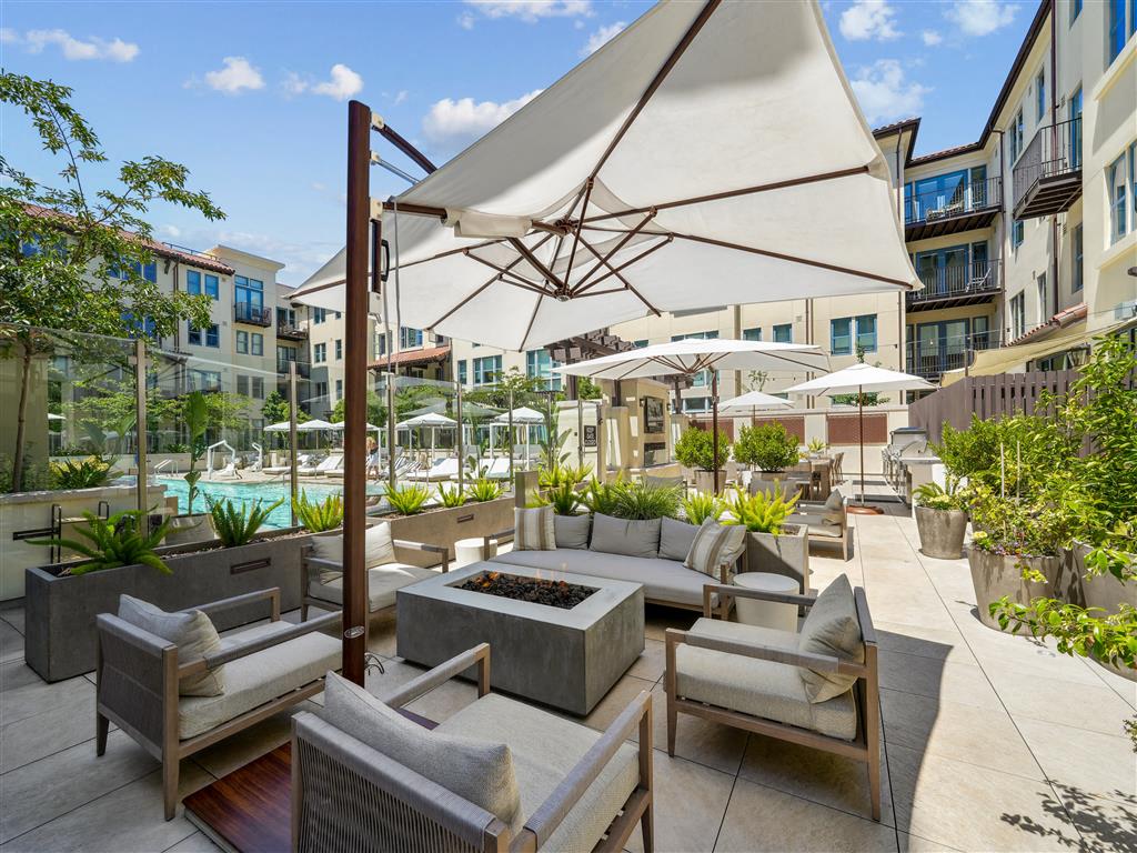 Springline Menlo Park Image 6