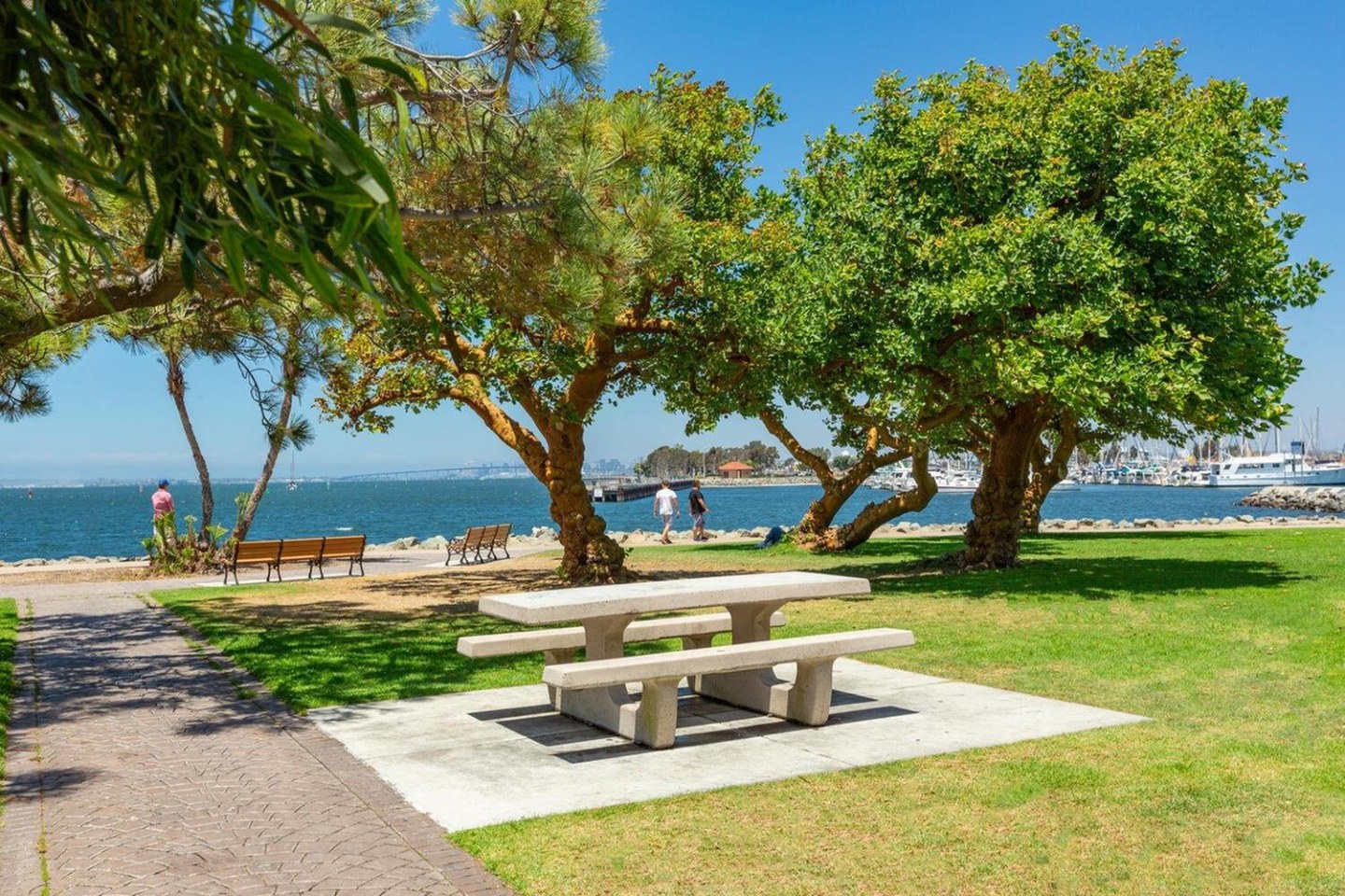 Villa Parq Apartment Homes Image 6
