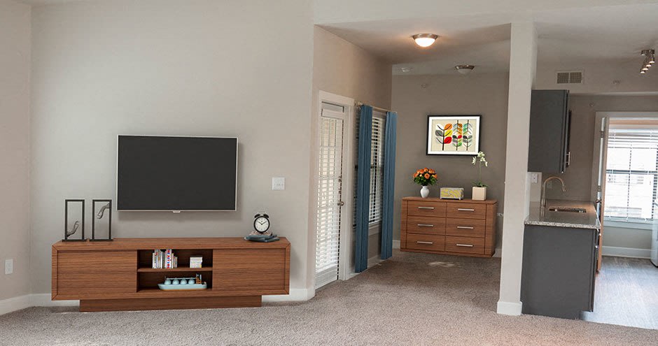 Estates at Vista Ridge Image 15